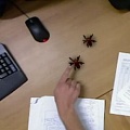 Виртуальные пауки помогут избавиться от фобии