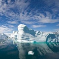 Древние водоросли пролили свет на образование антарктических льдов