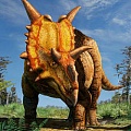 Ученые обнаружили новый вид рогатого динозавра