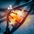 Ученые: сотни генов оживают после смерти