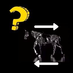 Куда идет лошадь? Новая оптическая иллюзия расскажет, как работает ваш мозг