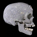 Знаменитый драгоценный череп Дамиена Херста стал частью экспозиции лондонского музея