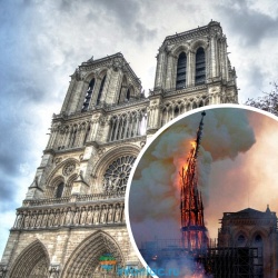 10 малоизвестных фактов о Соборе Парижской Богоматери (Нотр-дам де Пари)
