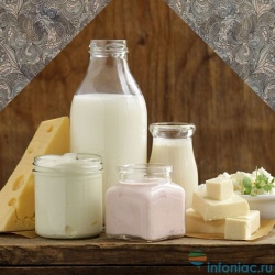 Как хранить молоко и молочные продукты?