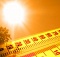 Невиданная жара станет нормой уже через 20 лет