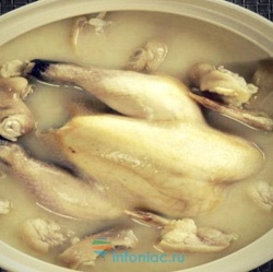 3 лучших способа очистить магазинную курицу от антибиотиков и токсинов