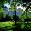 10 самых красивых городских парков в мире