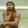 Ученые ищут суррогатную мать для клонирования неандертальца