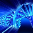 Создан первый искусственный ген