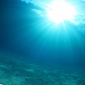Тест для настоящих эрудитов: Как хорошо вы разбираетесь в морях и океанах?