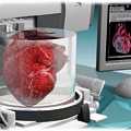 Сердце, напечатанное на 3D-принтере, скоро станет реальностью