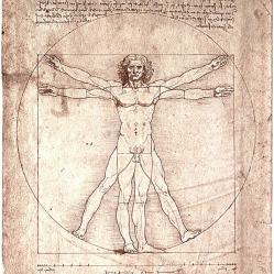 Обнаружена часть тела, которая поставила в тупик Леонардо да Винчи