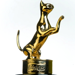 Премия лучшему интернет видео про котов 2012 вручается …