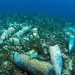 Море мусора в Северной Атлантике