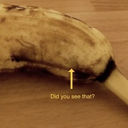 Жуткое видео с пауком, вылезающим из банана