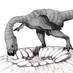 Ученые обнаружили останки динозавра, высиживавшего яйца