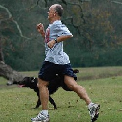 Пробежки улучшают мозговую деятельность и память