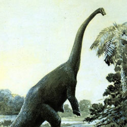 Раскрыты секреты питания травоядных динозавров