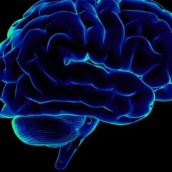 Как работает наш мозг в темноте