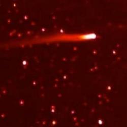 Последние новости: комета ISON прошла вокруг Солнца, но ее судьба не ясна