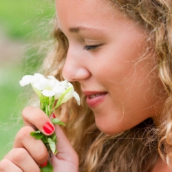 Ученые выявили 10 основных типов запахов