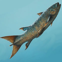 Найдены новые окаменелости рыб-убийц прошлого 
