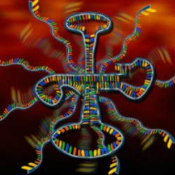 Молекулы ДНК могли существовать задолго до появления жизни