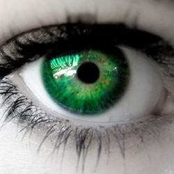 20 невероятных фактов о глазах и зрении