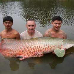 В Амазонке поймали гигантского монстра