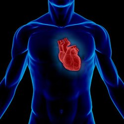 Топ 10 мифов о болезнях сердца