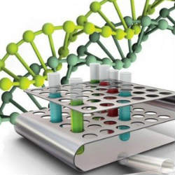 Все, что следует знать о генной терапии