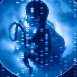 Ученые впервые изменили гены человеческого эмбриона