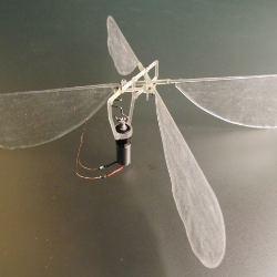 Механические насекомые с напечатанными крыльями