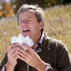 Чрезмерная чистота повышает риск развития аллергии