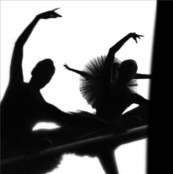 Поклонники балета чувствуют движения танцоров
