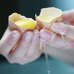 Ученые превратили вареное яйцо обратно в сырое