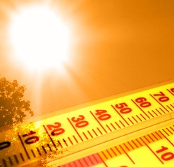 Невиданная жара станет нормой уже через 20 лет