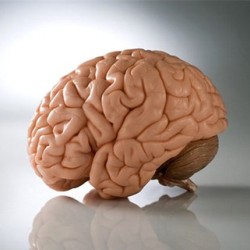 10 уникальных повреждений мозга