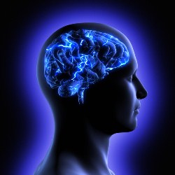 Ученые нашли "выключатель" сознания в мозге человека
