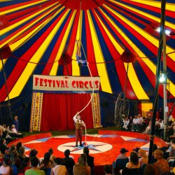 Шуточный тест: Кем бы вы работали в цирке?