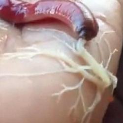 Самый жуткий червь с неожиданной уловкой