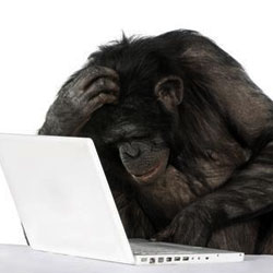 Что может дать компьютер обезьянам?