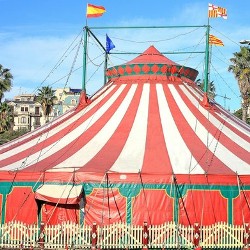 Открывается первый современный цирк