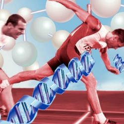 Генетика и спортивные способности