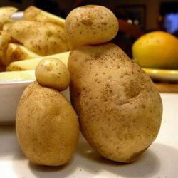 Картофель содержит ген смерти
