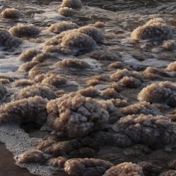 Мертвое море умирает? 