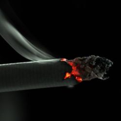 К 2050 году мир останется без сигарет  
