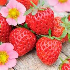 9 причин любить клубнику - ягоду здоровья и красоты