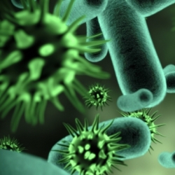 5 фактов, которые нужно знать о микробах нашего тела