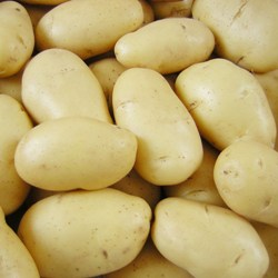 Ученые превратили картофель в суперпродукт
